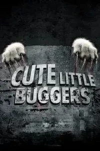 Download 18+ Cute Little Buggers (2017) Dual Audio (Hindi-English) 480p [350MB] || 720p [1.02GB] || 1080p [GB]