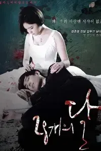 Download 28 Faces of the Moon (Season 1) Korean Drama Series {Hindi Dubbed} 720p HDRiP [350MB]