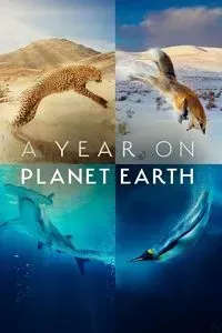 Download A Year on Planet Earth Season 1 (English with Subtitle) WeB-DL 720p [400MB] || 1080p [900MB]