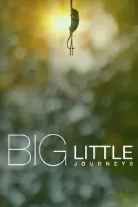 Download Big Little Journeys (Season 1) {English With Subtitles} WeB-DL 720p [500MB] || 1080p [2GB]