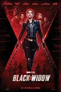 Download Black Widow (2021) Dual Audio {Hindi-English} Bluray 480p [450MB] || 720p [1.2GB] || 1080p [2.9GB]