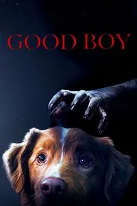 Download Good Boy (2025) {English With Subtitles} WEB-DL 480p [220MB] || 720p [590MB] || 1080p [1.4GB]