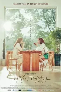 Download Goodbye to Goodbye (Season 1) {Hindi-Korean} 720p [370MB] || 1080p [650MB]