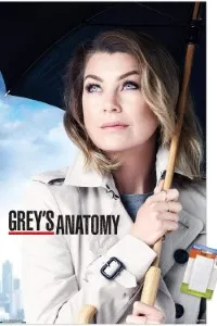 Download Grey’s Anatomy (Season 1-22) [S22E06 Added] {English With Subtitles} 720p Bluray [280MB] || 1080p [1GB]