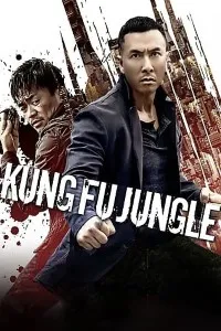 Download Kung Fu Jungle (2014) Dual Audio {Hindi-Chinese} 480p [325MB] || 720p [900MB] || 1080p [1.97GB]