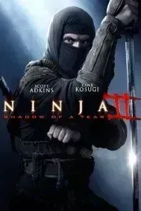 Download Ninja: Shadow of a Tear (2013) Dual Audio {Hindi-English} Bluray 480p [300MB] || 720p [850MB] || 1080p[2GB]