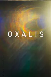 Download Oxalis (2018) Dual Audio {Hindi-English} Esubs WEB-DL 480p [316MB] || 720p [868MB] || 1080p [2.0GB]
