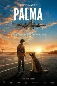 Download Palma (2021) {Russian With Subtitles} 480p [300MB] || 720p [1GB] || 1080p [2GB]