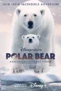 Download Polar Bear (2022) {English With Subtitles} 480p [250MB] || 720p [700MB] || 1080p [2.4GB]