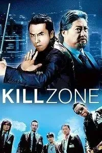 Download SPL: Kill Zone (2005) {Chinese With Subtitles} 480p [350MB] || 720p [1GB]