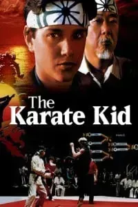 Download The Karate Kid (1984) Dual Audio {Hindi-English} 480p [600MB || 720p [1.25GB] || 1080p [1.84GB]