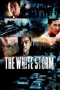 Download The White Storm (2013) {Chinese With Subtitles} BluRay 480p [400MB] || 720p [1.20GB] || 1080p [2.47GB]