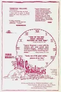 Download Wild Strawberries (1957) {English With Subtitles} 480p [400MB] || 720p [800MB]