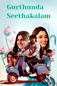 Download Gurthunda Seethakalam (2023) Dual Audio (Hindi-Telugu) Movie WEB-DL || 480p [600MB] || 720p [1.2GB]  || 1080p [2.9GB]